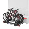 E-Bike-Träger Velo, 2