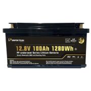 Lithium Batterie PF-Underseat-12 mit Heizung, 100 Ah