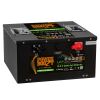 Lithium Kaltwetterbatterie, 300 Ah