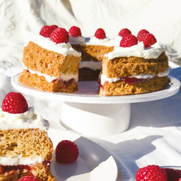 Feine Leckereien Kuchen & Torten – Rezepte für den Omnia Backofen – Backbuch