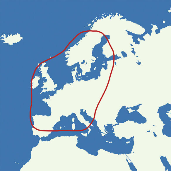 EasySat für Kastenwagen