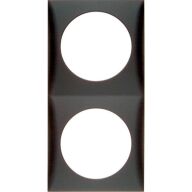 Rahmen 2-fach anthrazit, lose 321/131-1