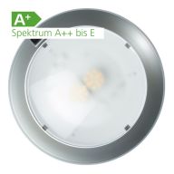 LED Deckenleuchte RIO
