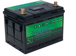 LiFePO4 Smart BMS 12.8 V 50 Ah Lithiumbatterie 