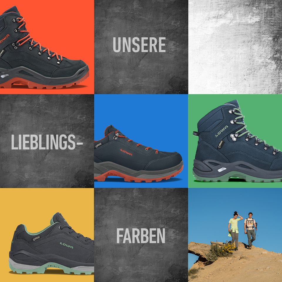 Herren-Trekkingschuhe