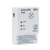 Gasalarm P100