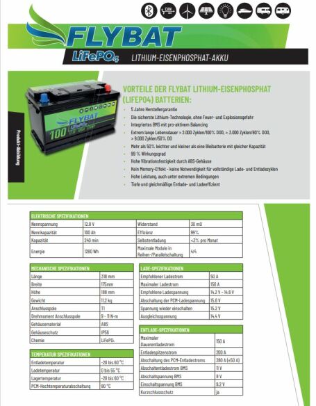 FLYBAT LiFePO4 Smart BMS 12.8 V 100 Ah Lithiumbatterie