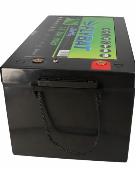 FLYBAT LiFePO4 Smart BMS 12.8 V 300 Ah Lithiumbatterie