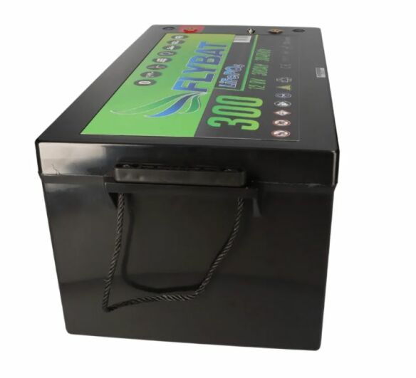 FLYBAT LiFePO4 Smart BMS 12.8 V 300 Ah Lithiumbatterie