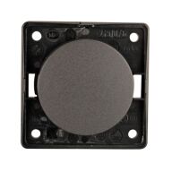 Ausschalter anthrazit, lose 321/244-1