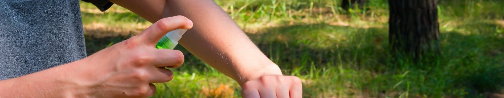 Insektenschutz Insektenschutz
